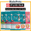 Purina ONE Cat Dry Food Kibbles 1.2kg | Hairball, Urinary, Kitten, Adult Salmon