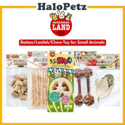 Marukan Corn Shaped Toy Rattan | Loofah | Sugarcane | Chew Biting Toy | Apple Bamboo Stick