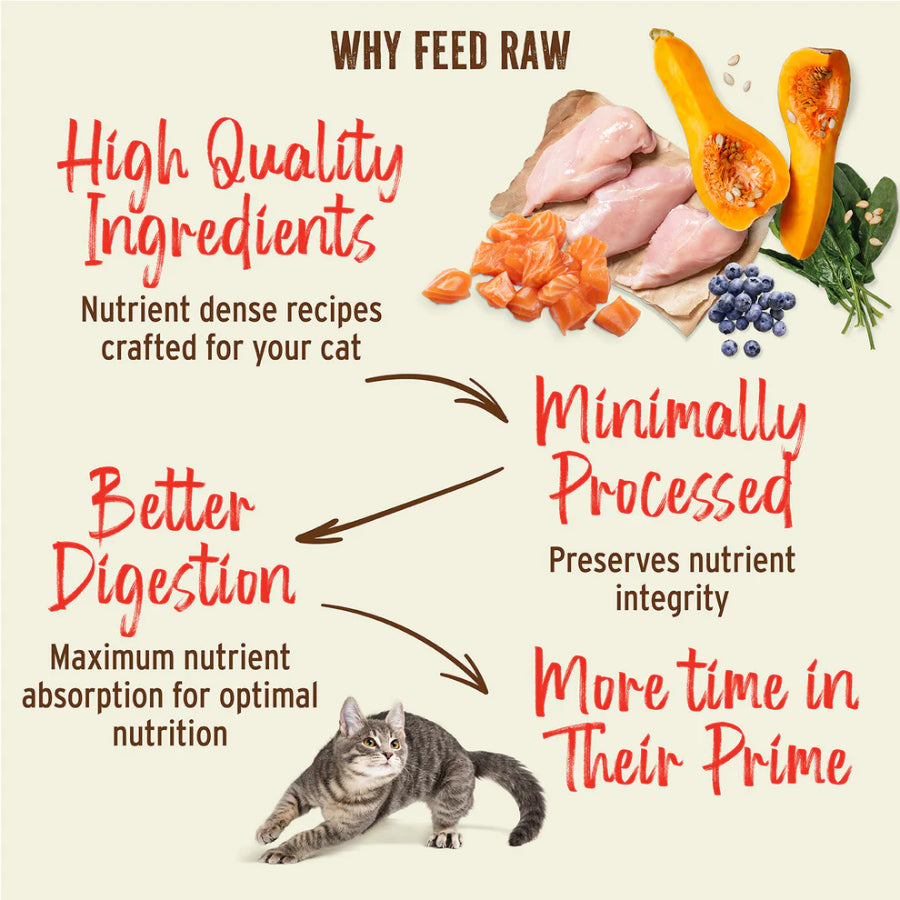Primal Kibble in the Raw Freeze Dried Cat Food 1.5lbs | Raw Coated Dry Cat Food