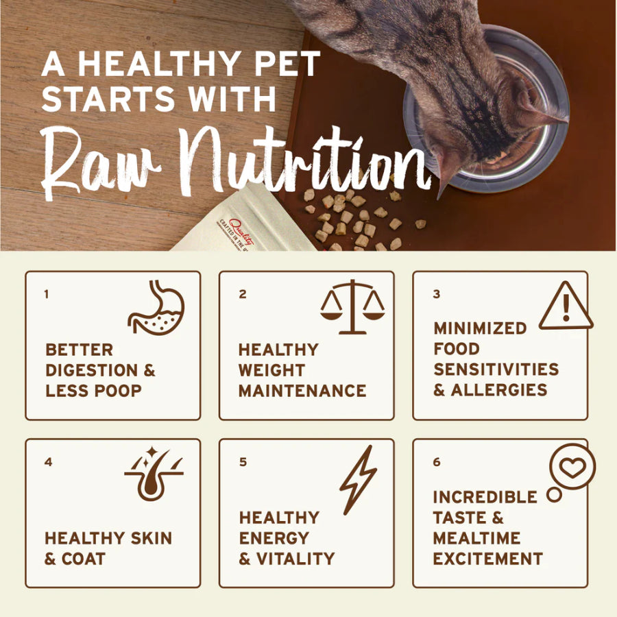 Primal Freeze Dried Raw Cat Food Nuggets 14oz | Complete Raw Cat Diet